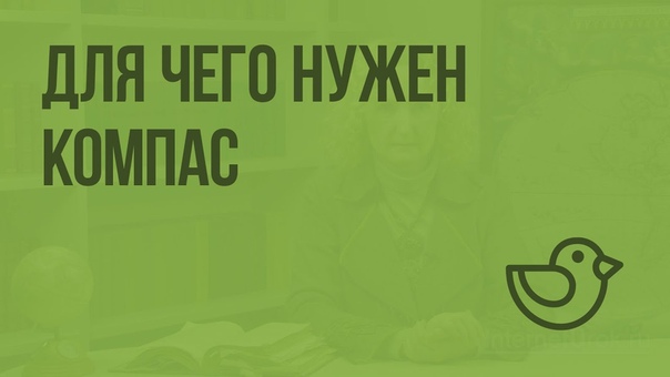 Окружающий мир 2 класс