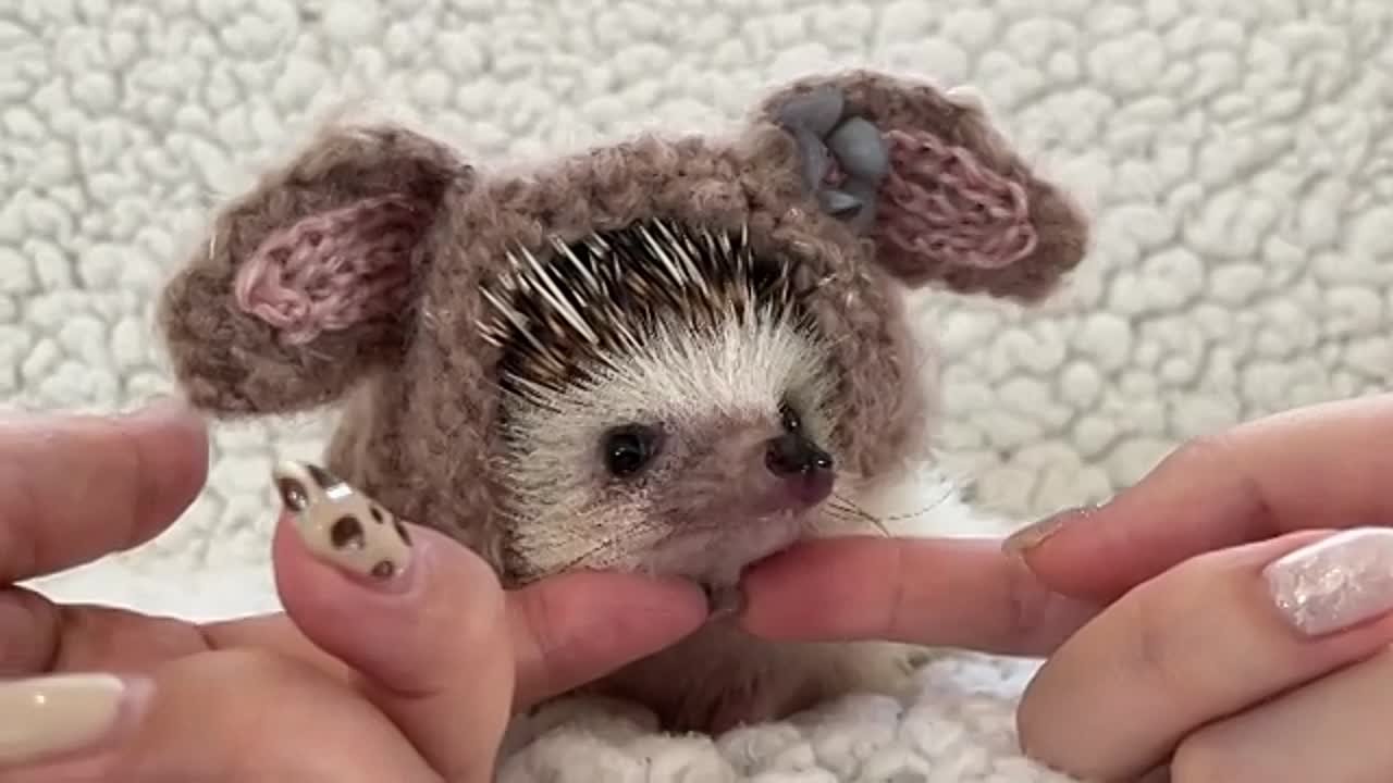 Зайки:)