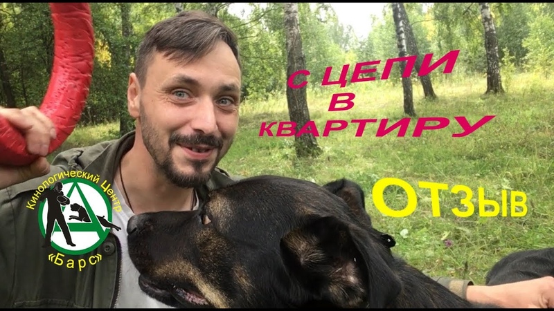 Видеоотзывы