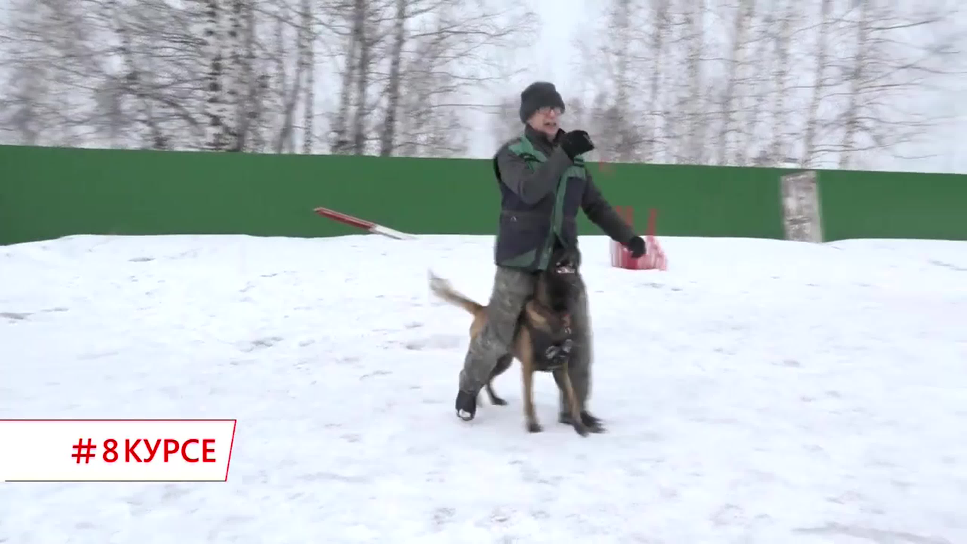 Пресса