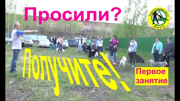 Ролики по дрессировки.