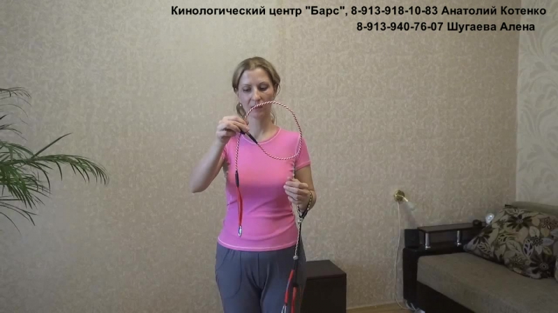 Аксесуары для дрессировки