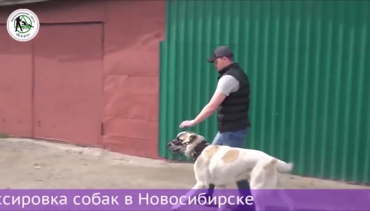 Рекламные ролики