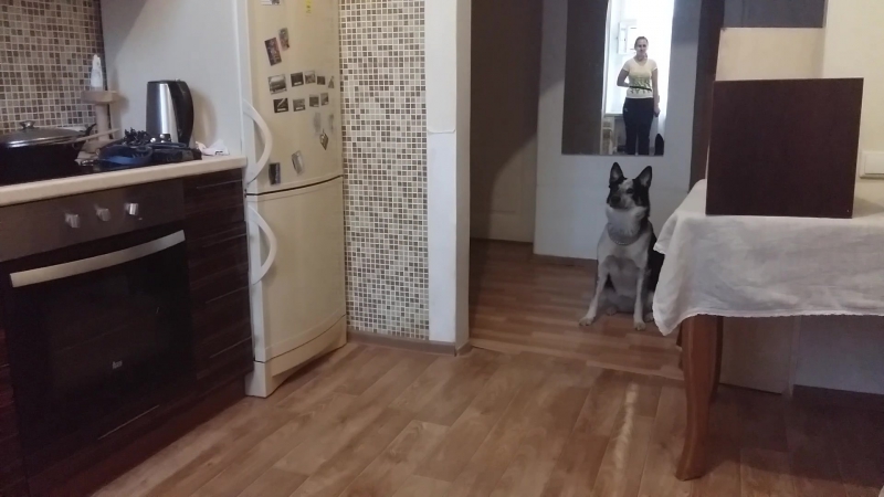 Тренировки