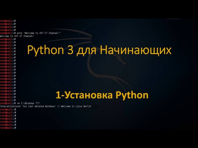 Python для начинающих