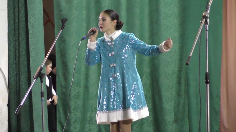 Выступление в ДК 2017