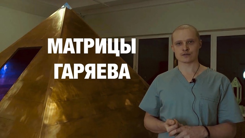 МАТРИЦЫ ГАРЯЕВА