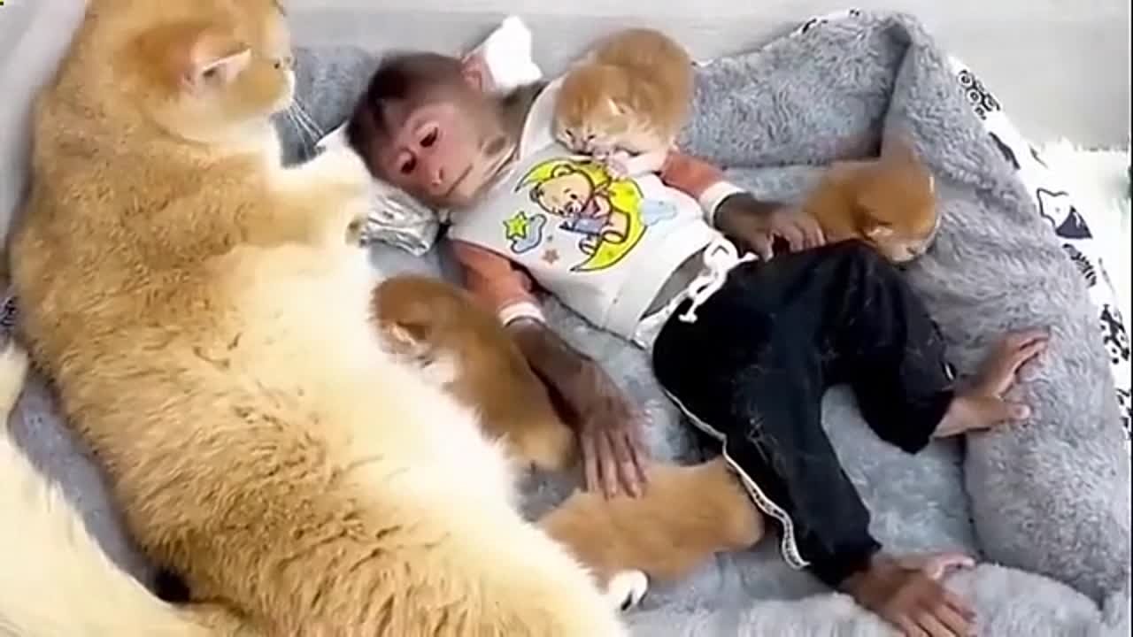 Смешное