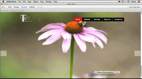 Adobe Muse