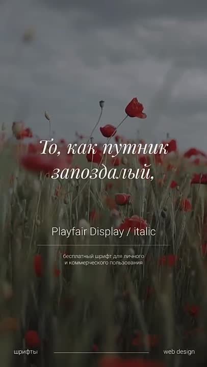 Design