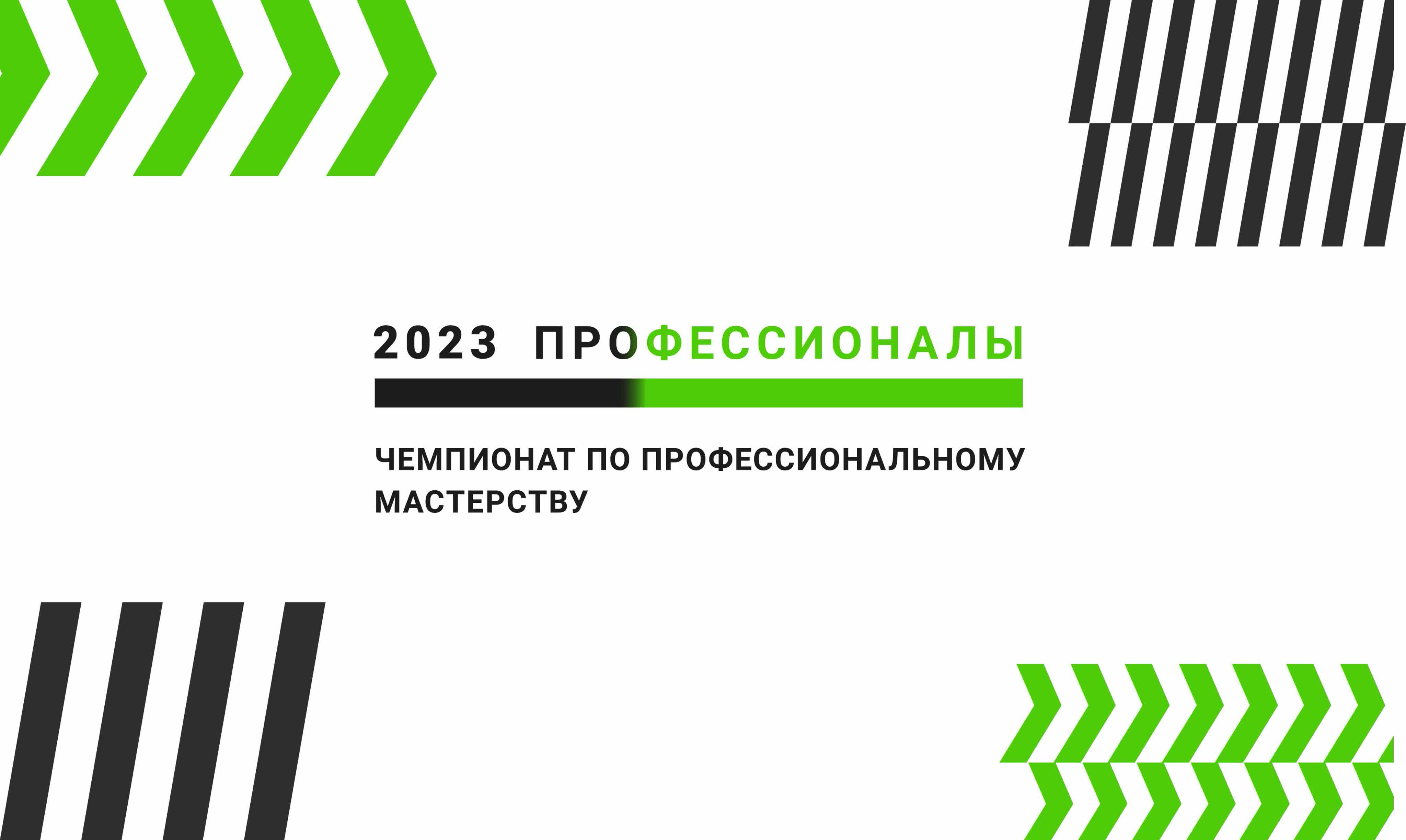 Профессионалы регион 2023