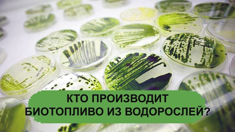 КОМПЬЮТЕР и ИНТЕРНЕТ