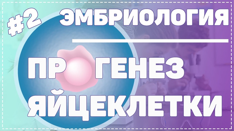 ФАКТЫ