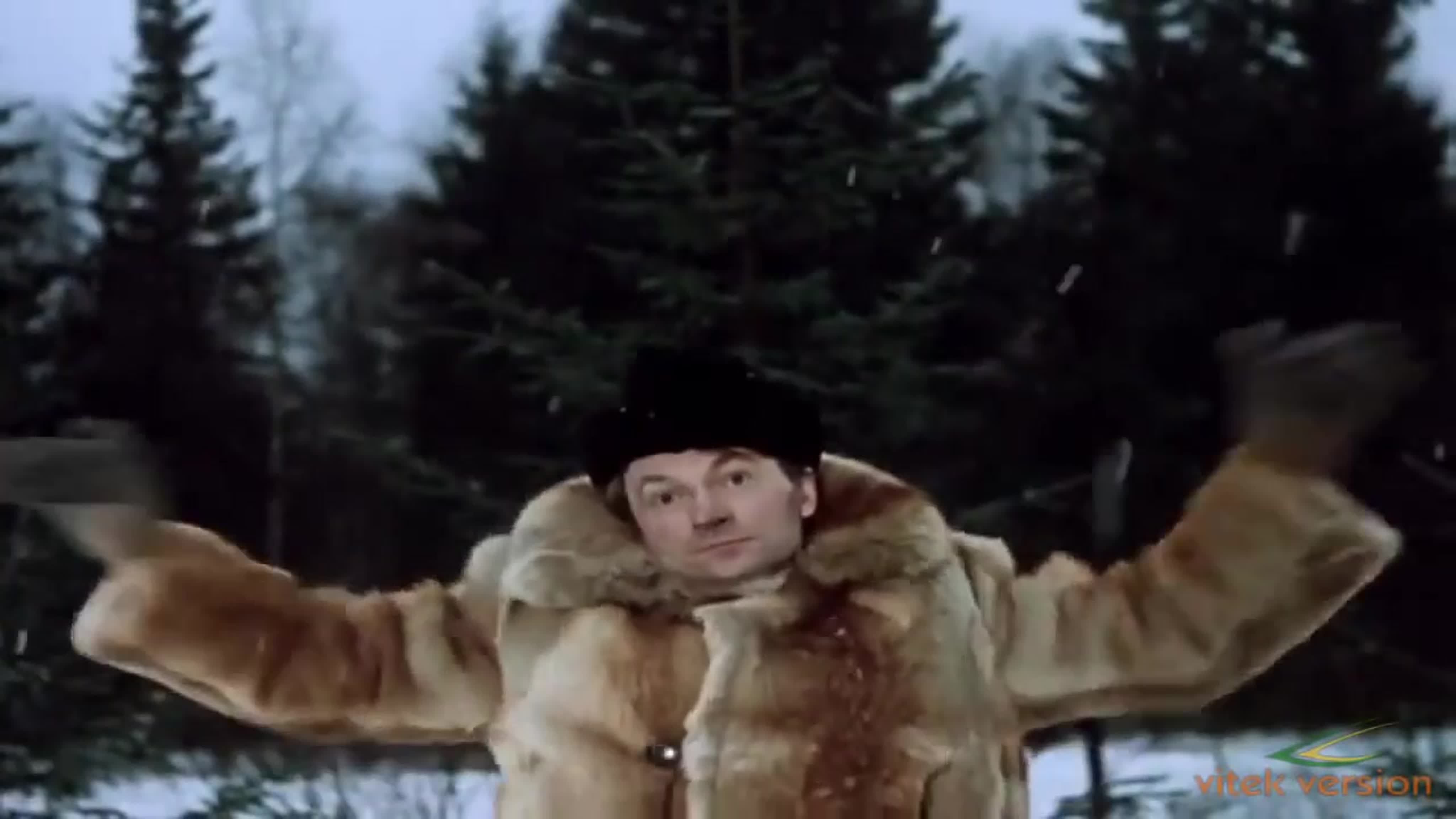 Вицин
