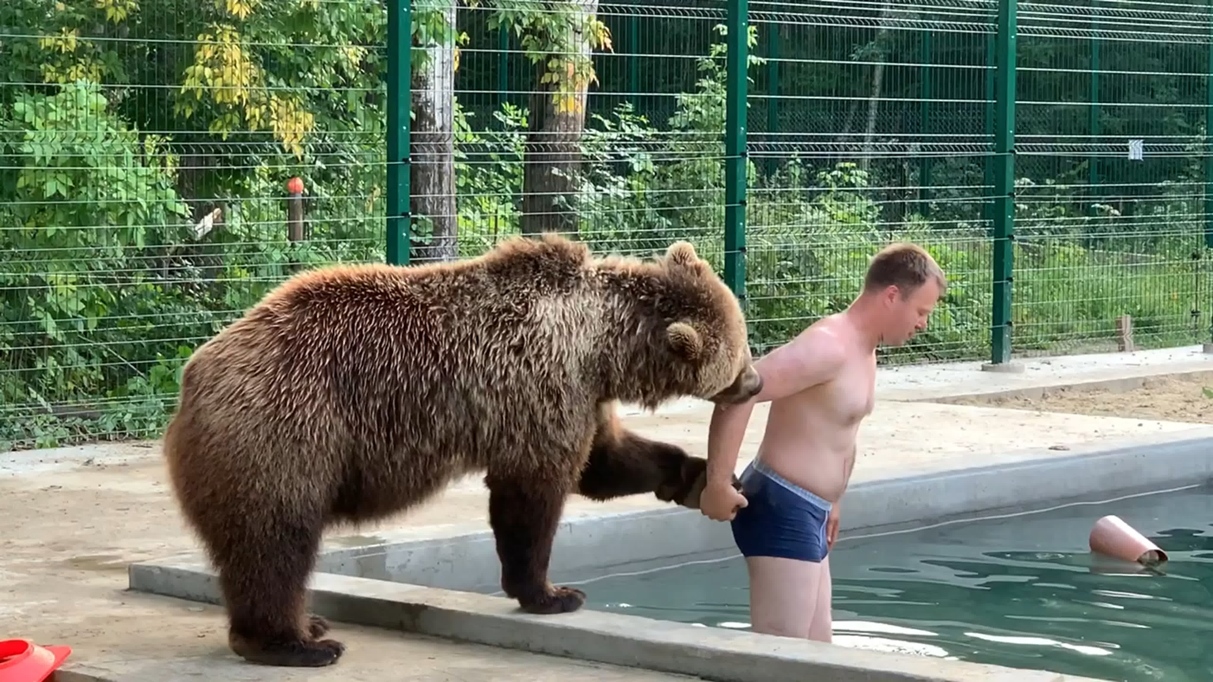 АвиаМедведь МАНСУР