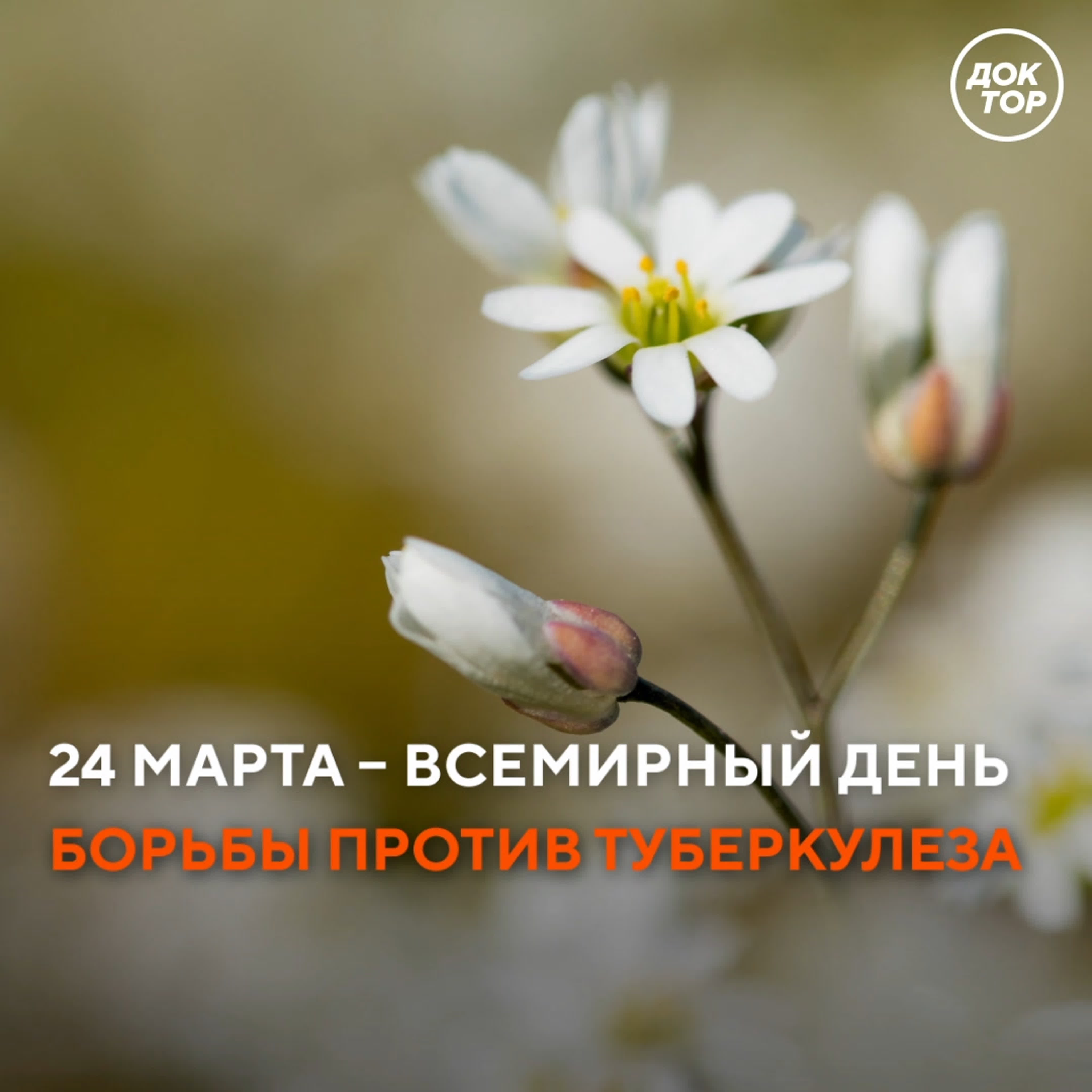 Медицина