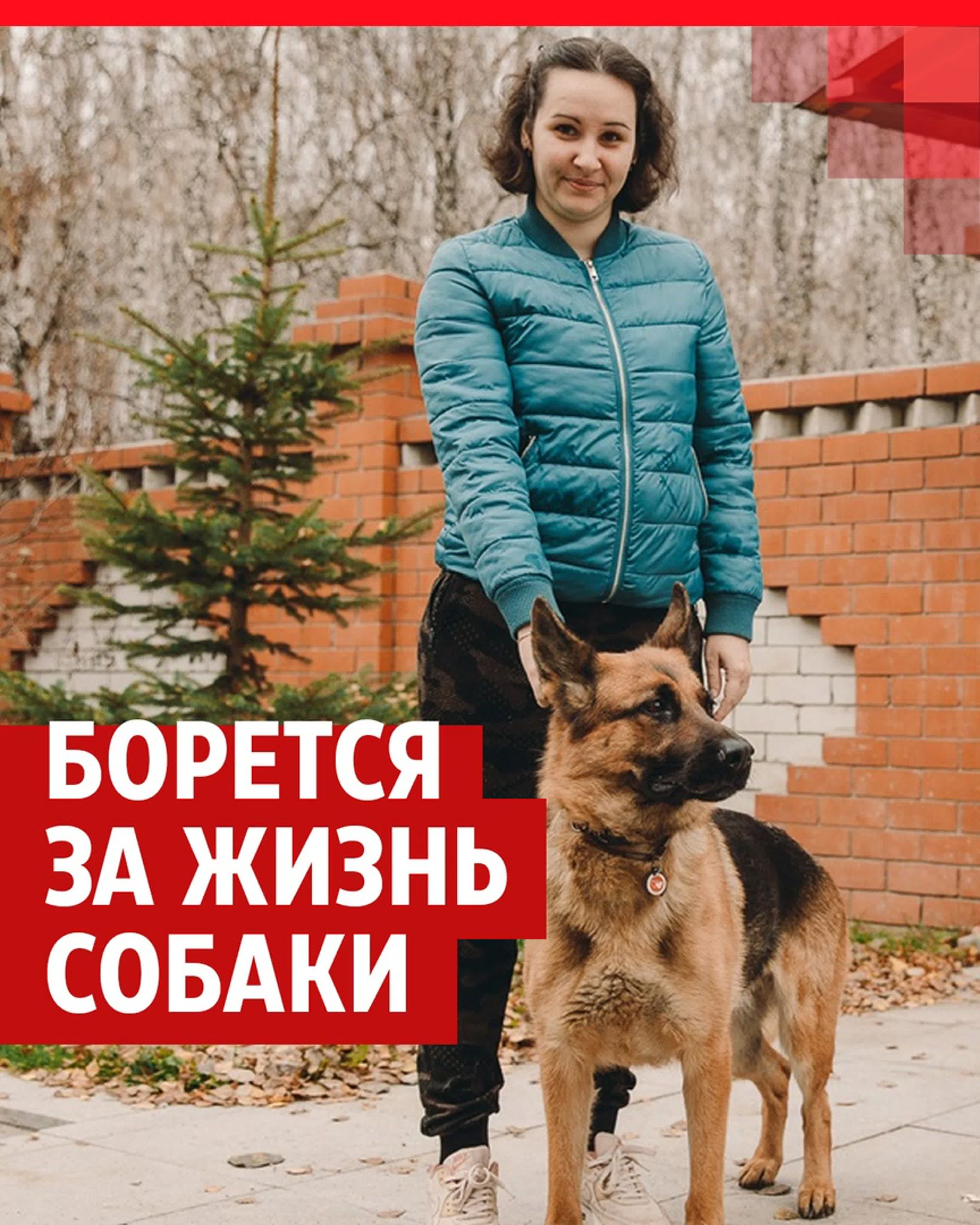 Животные