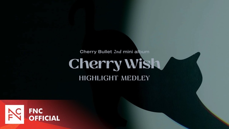 Cherry Bullet (체리블렛)