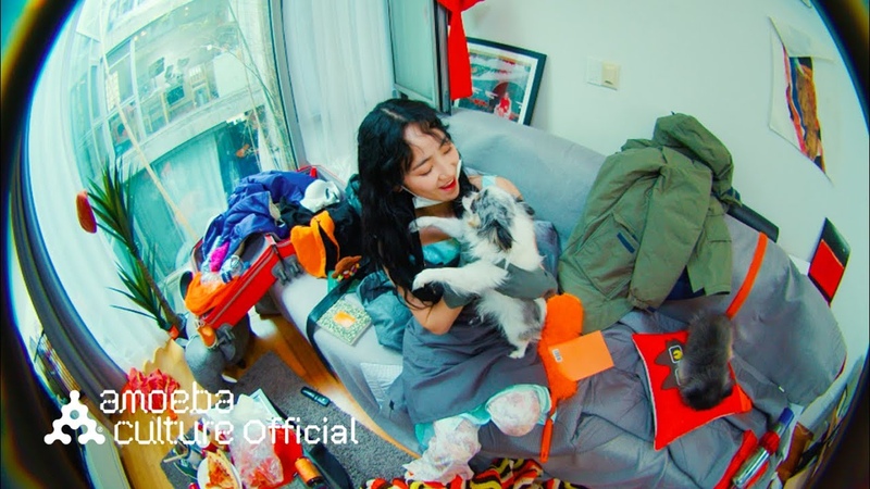 HA:TFELT (핫펠트)