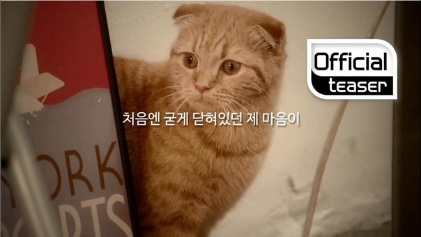 PARANG JAMONG(파랑자몽)