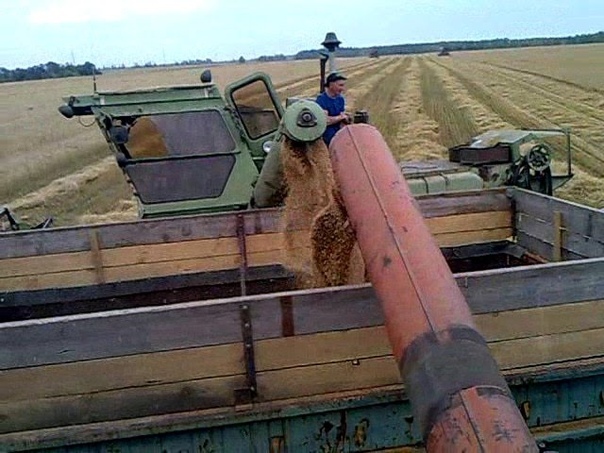 СК-5 Нива