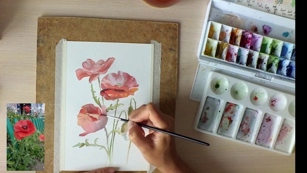 svekla_art