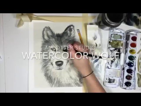 Mr. Otter Art Studio