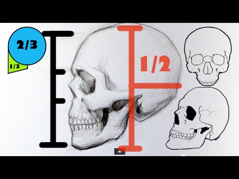 рисование черепа