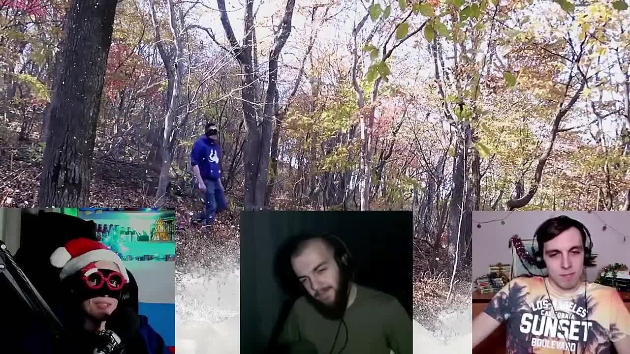 Записи стримов 2021