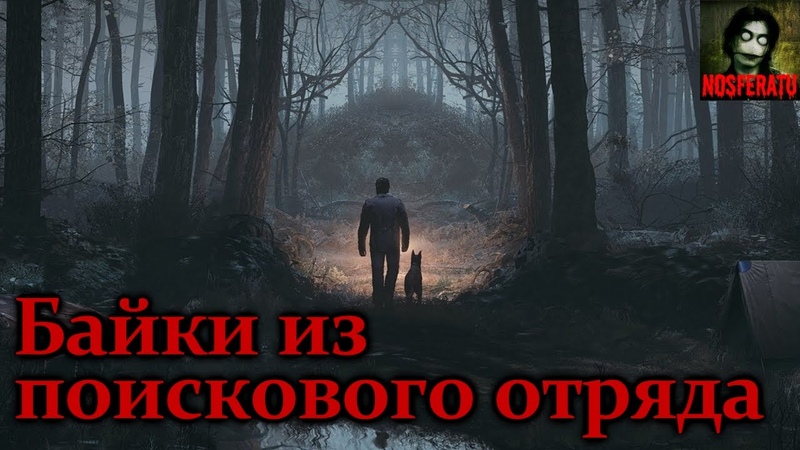 БАЙКИ ИЗ ПОИСКОВОГО ОТРЯДА. Страшные истории из реальной жизни. Страшные истории на ночь. Мистика