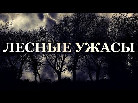 Лесные ужасы: Страшная тайна ленинградских болот. Неожиданная помощь.