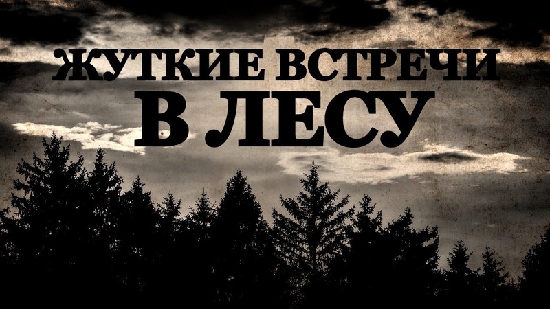 Жуткие встречи в Лесу. Страшные истории на ночь про Лес (4в1)