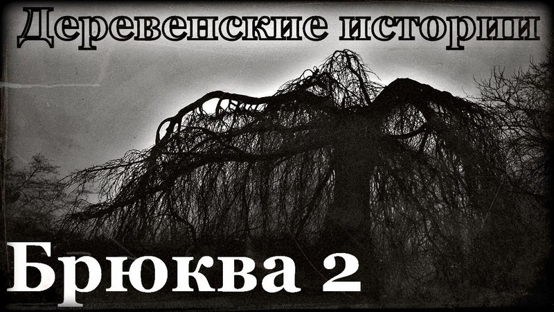 Истории на ночь (БАЙКИ ИЗ ТЬМЫ) (БРЮКВА)(Деревенские истории) (Бабушкины сказки)