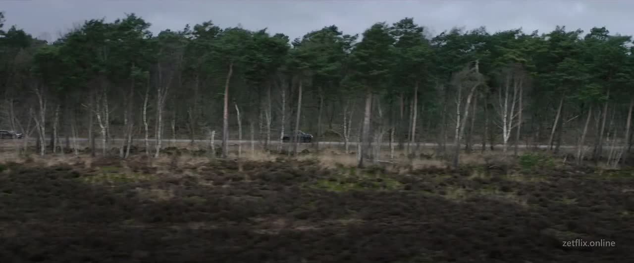 боевики