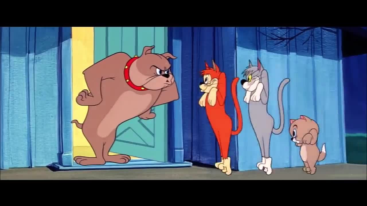 Спец-Выпуски