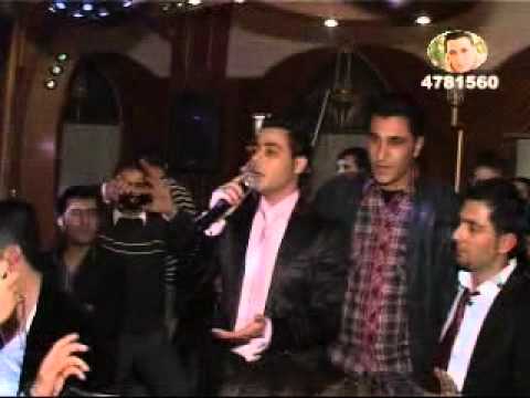 Dashni Murad.