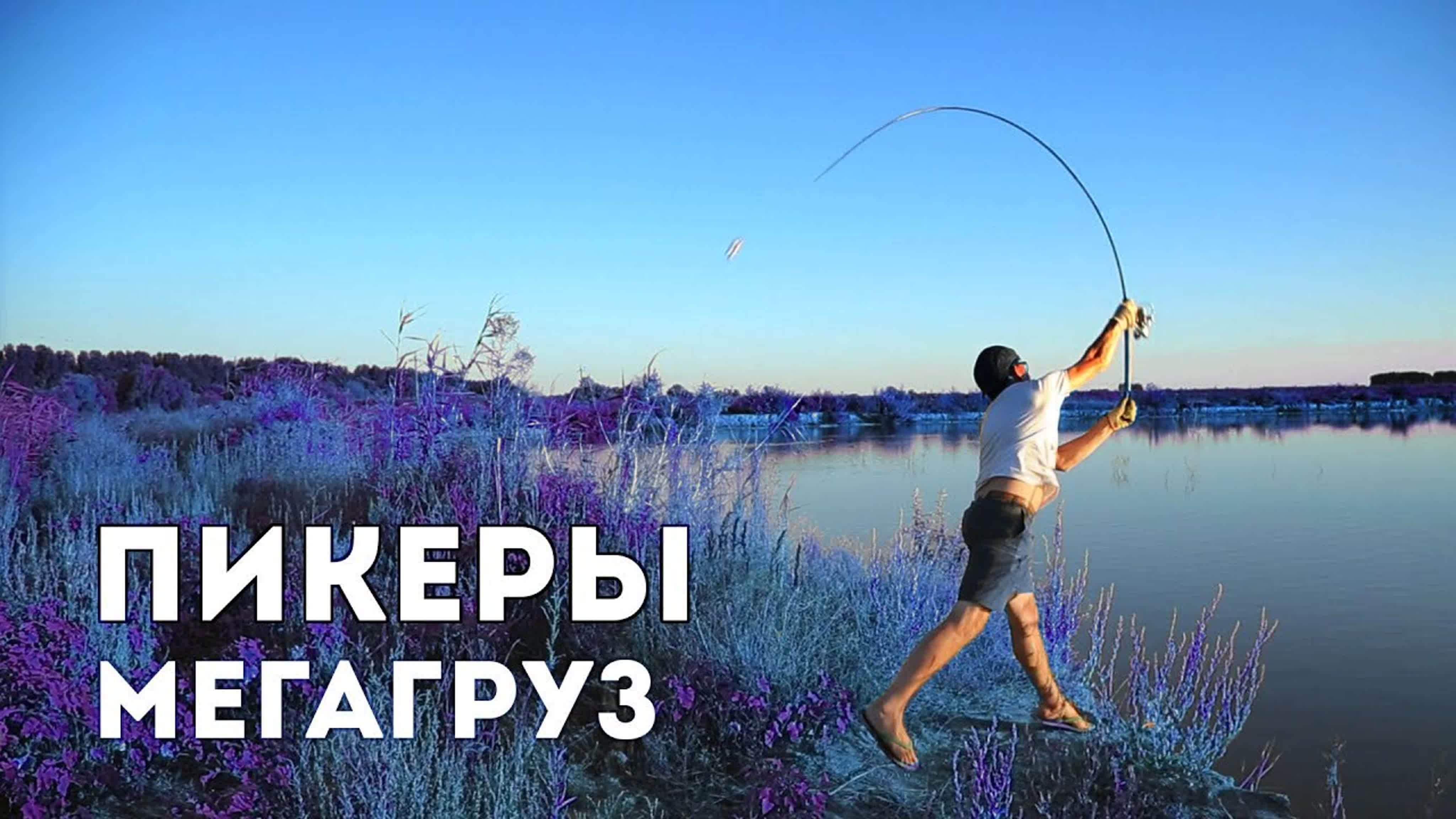 Пикеры