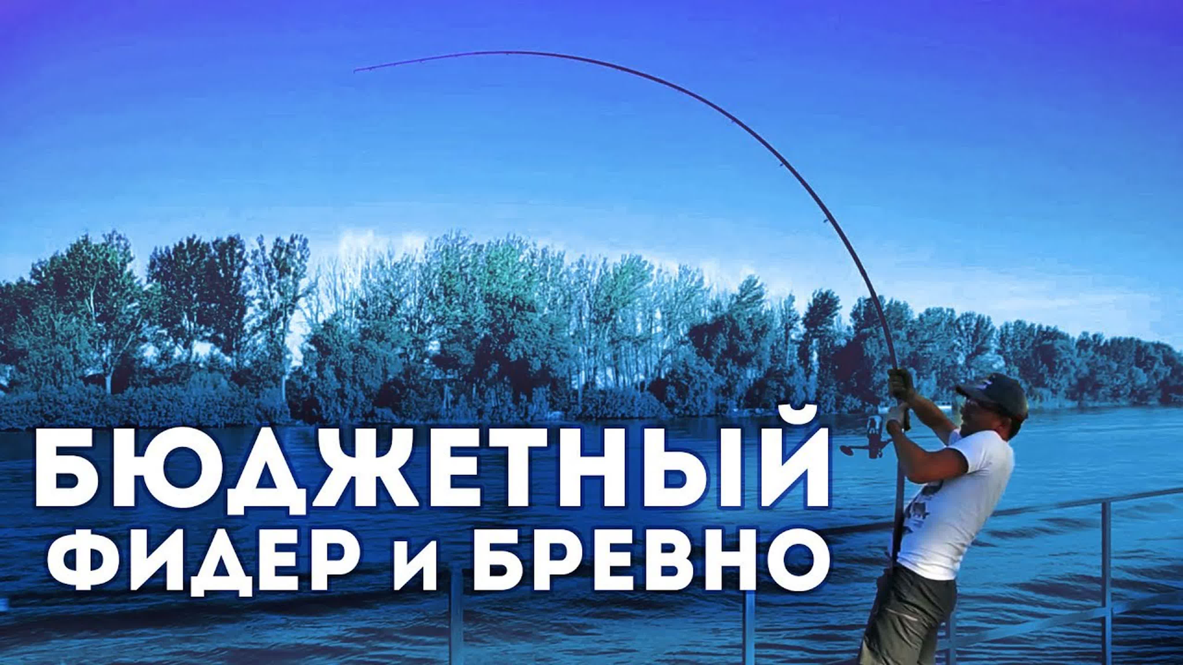Бюджетные фидеры