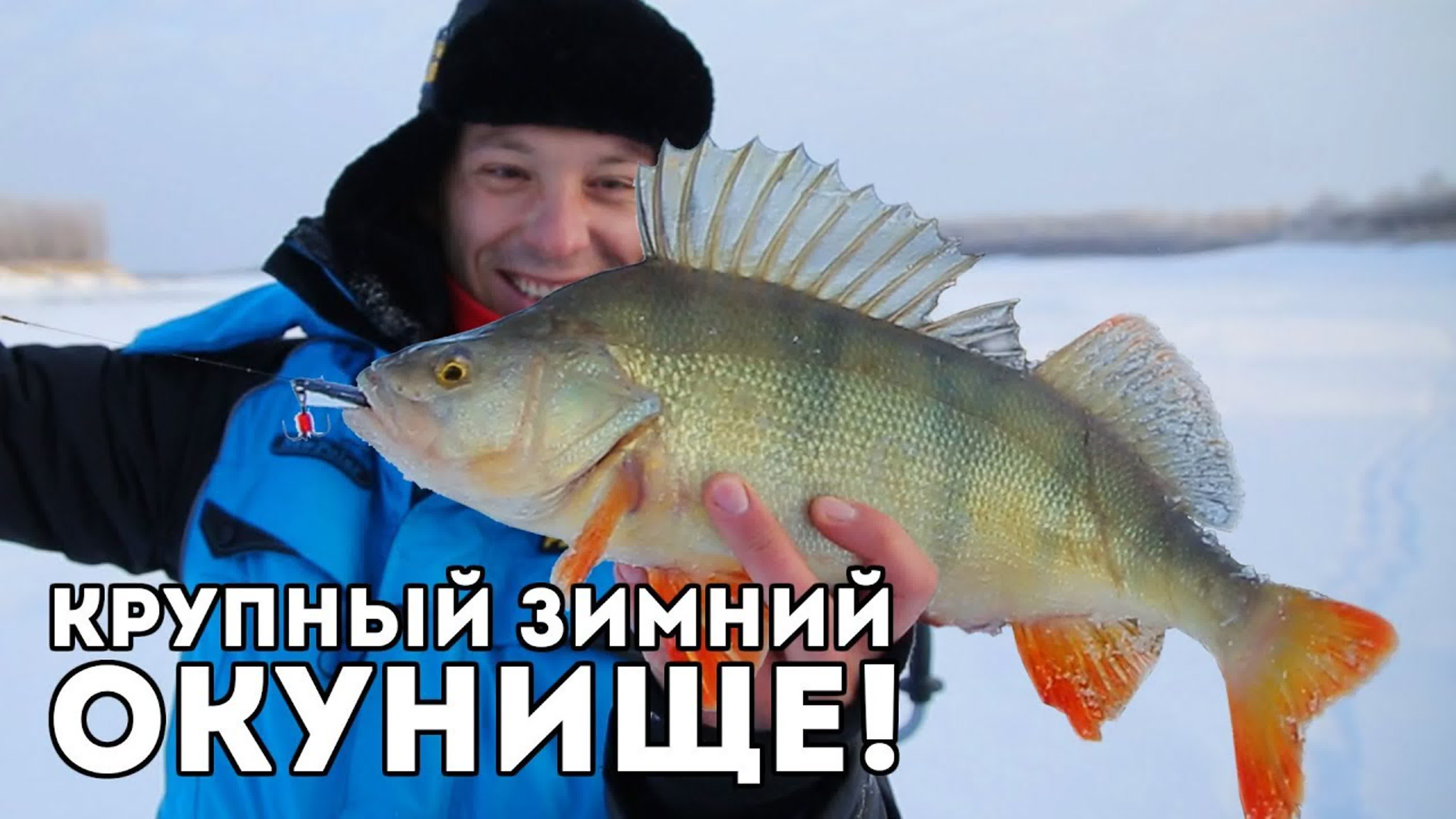 Окуни