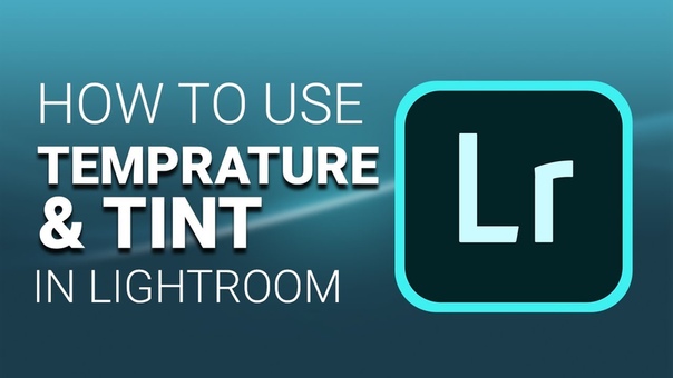 Lightroom 5