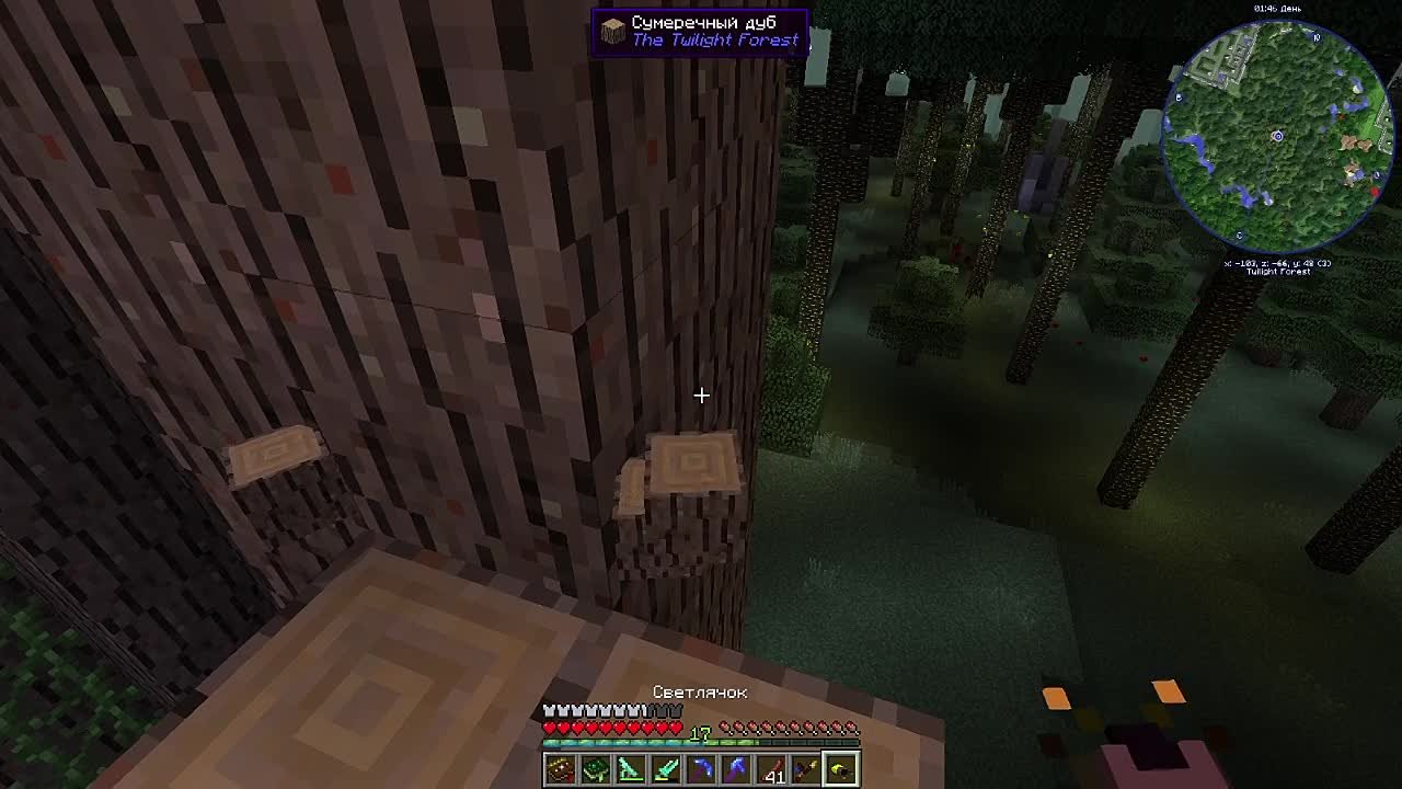 Minecraft с глупой кошкой