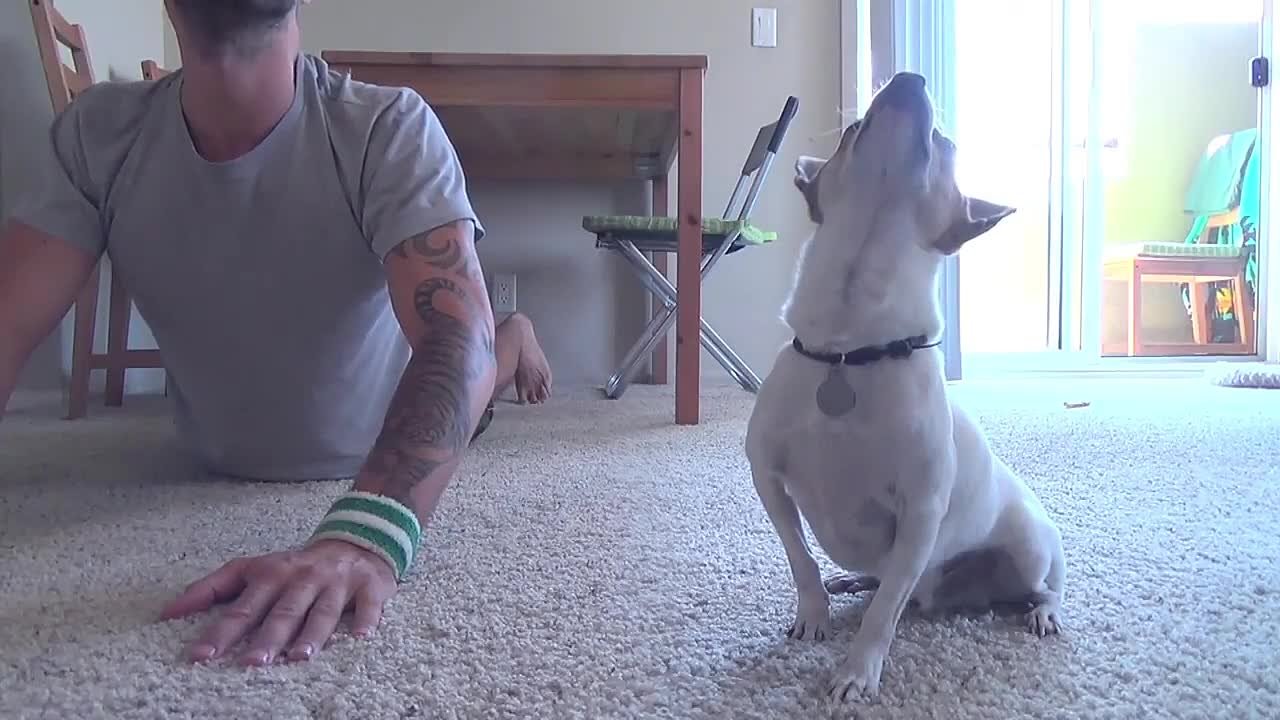 yoga