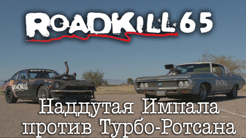 Roadkill