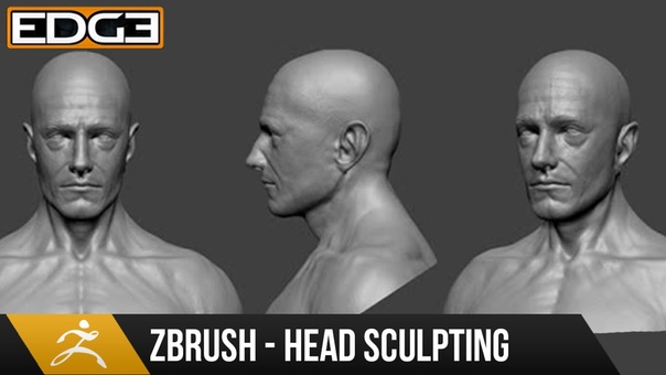 Скульптинг головы в #Zbrush