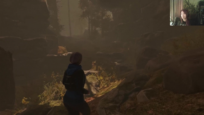Through the Woods