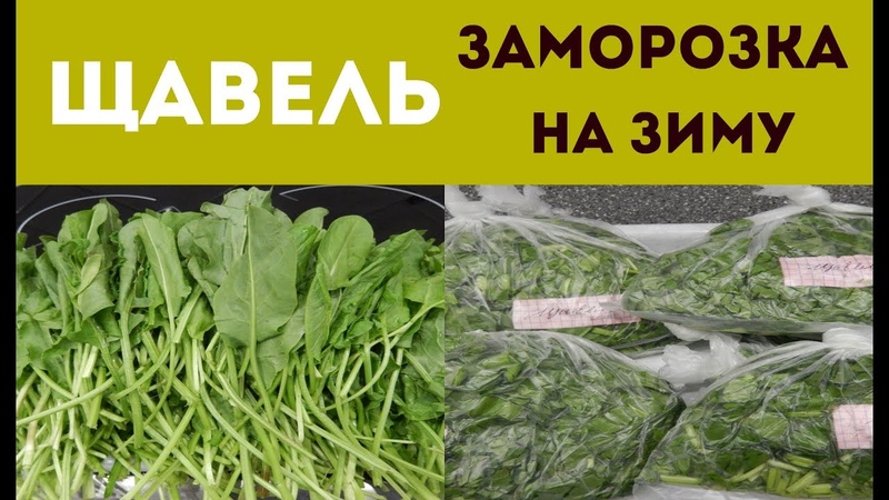 ОВОЩИ НА  ЗИМУ