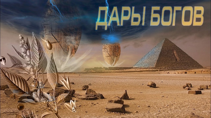 ДОКУМЕНТАЛЬНОЕ