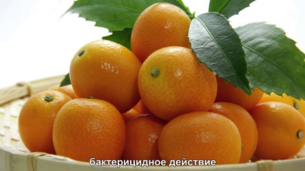 КИТАЙСКАЯ ЕДА для ЗДОРОВЬЯ