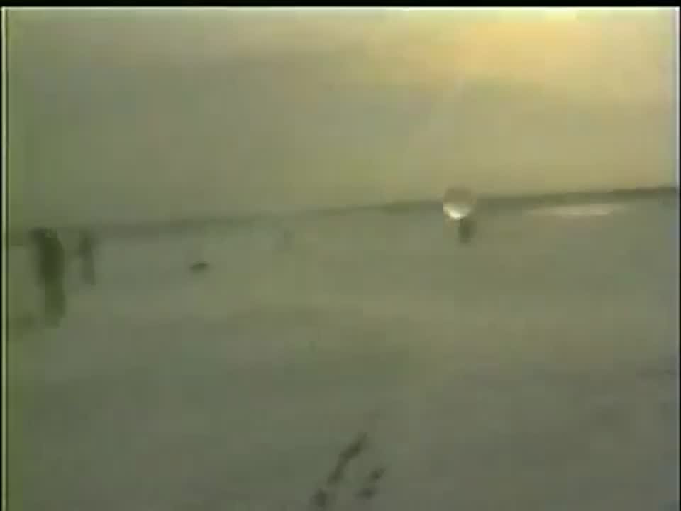 БЕЗОПАСНОСТЬ