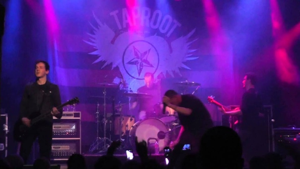 Taproot